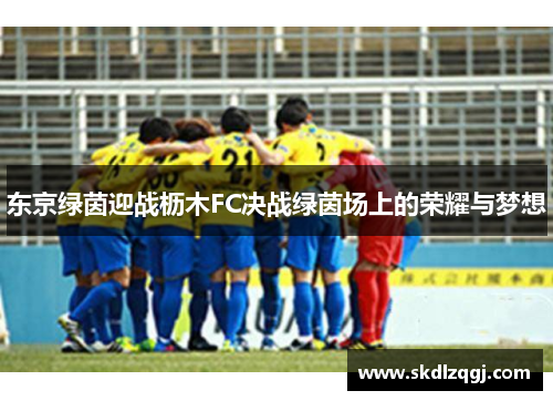 东京绿茵迎战枥木FC决战绿茵场上的荣耀与梦想